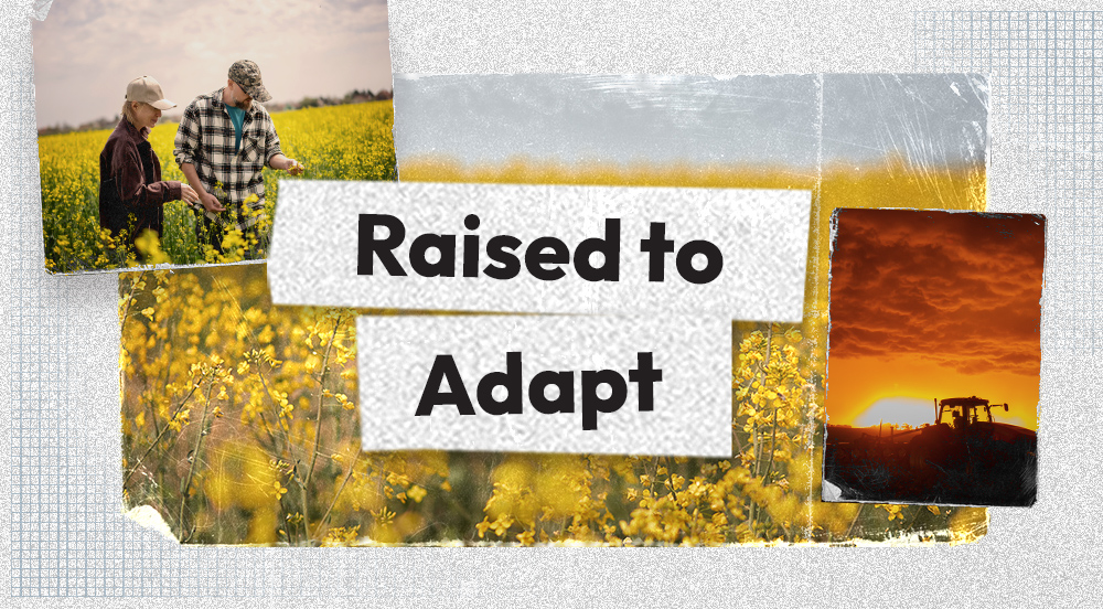 The Next Generation of Proven Canola Performance