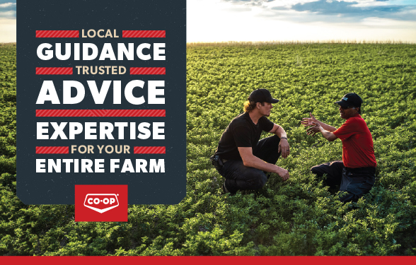 Local whole-farm expertise from Co-op