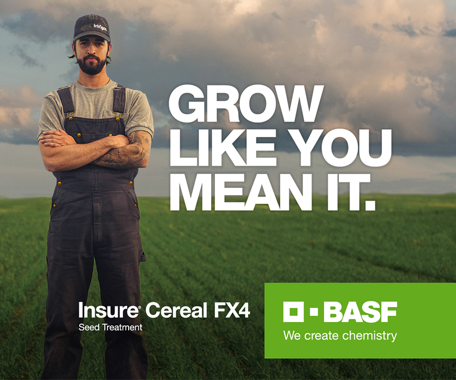 Grow like you mean it. Insure Cereal FX4 seed treatment. BASF.