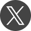 X icon