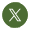 X icon