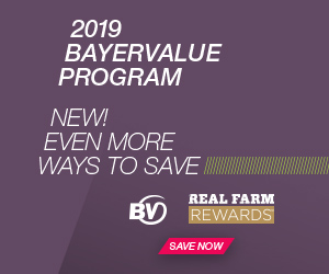 Bayer Value - BB1
