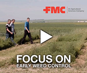 FMC Focus - SS1