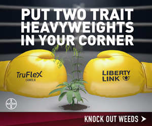 Put two trait heavyweights in your corner.