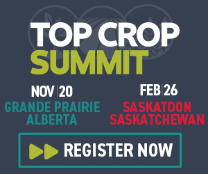 Sponsored Spotlight Ad