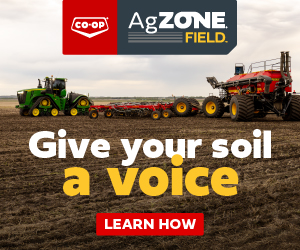 Sponsored Spotlight Ad