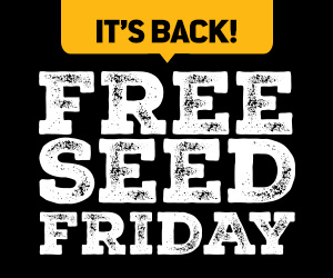 Sponsored Spotlight Ad