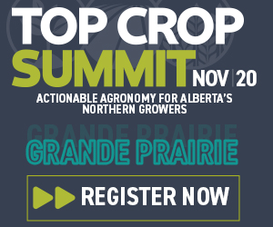 Sponsored Spotlight Ad