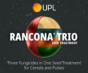 Sponsored Spotlight Ad