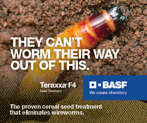 Sponsored Spotlight Ad