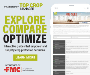 Sponsored Spotlight Ad