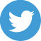 twitter icon